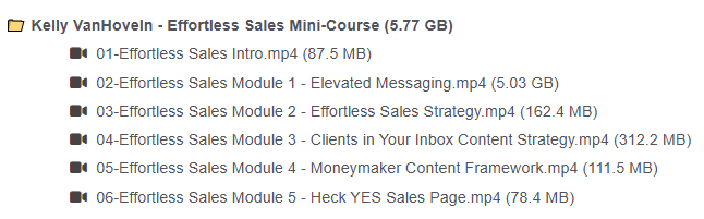 Kelly VanHoveln – Effortless Sales Mini-Course