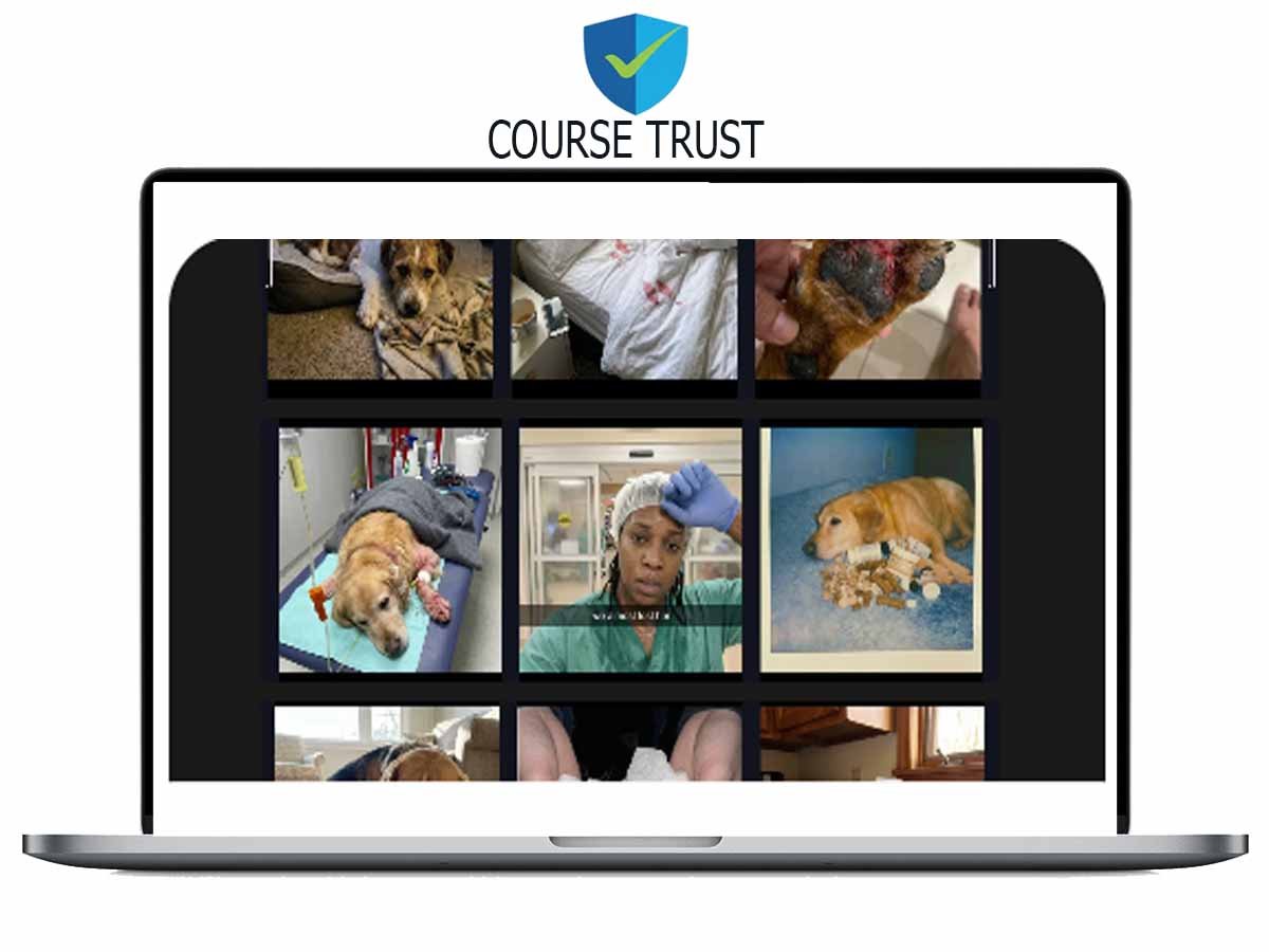 Satish Prajapati – Native Ads Download